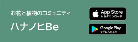 同じ趣味の友達が欲しい 同性|同じ趣味の友達が欲しいアプリ（サイト）10選！同性の友達も探。